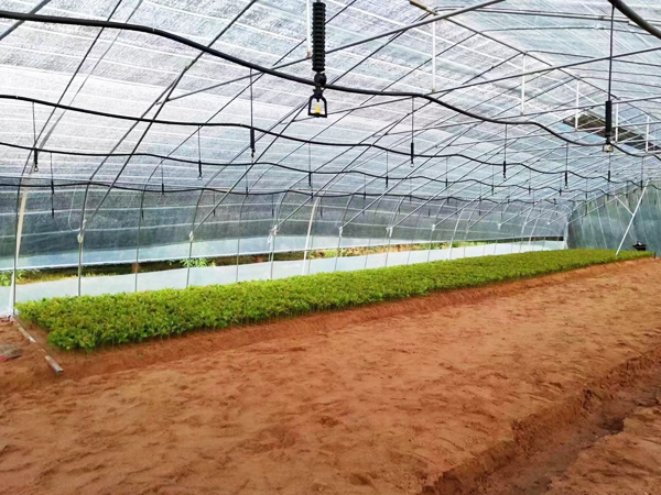 濟南市(shì)色花堂節水灌溉器材有限公司